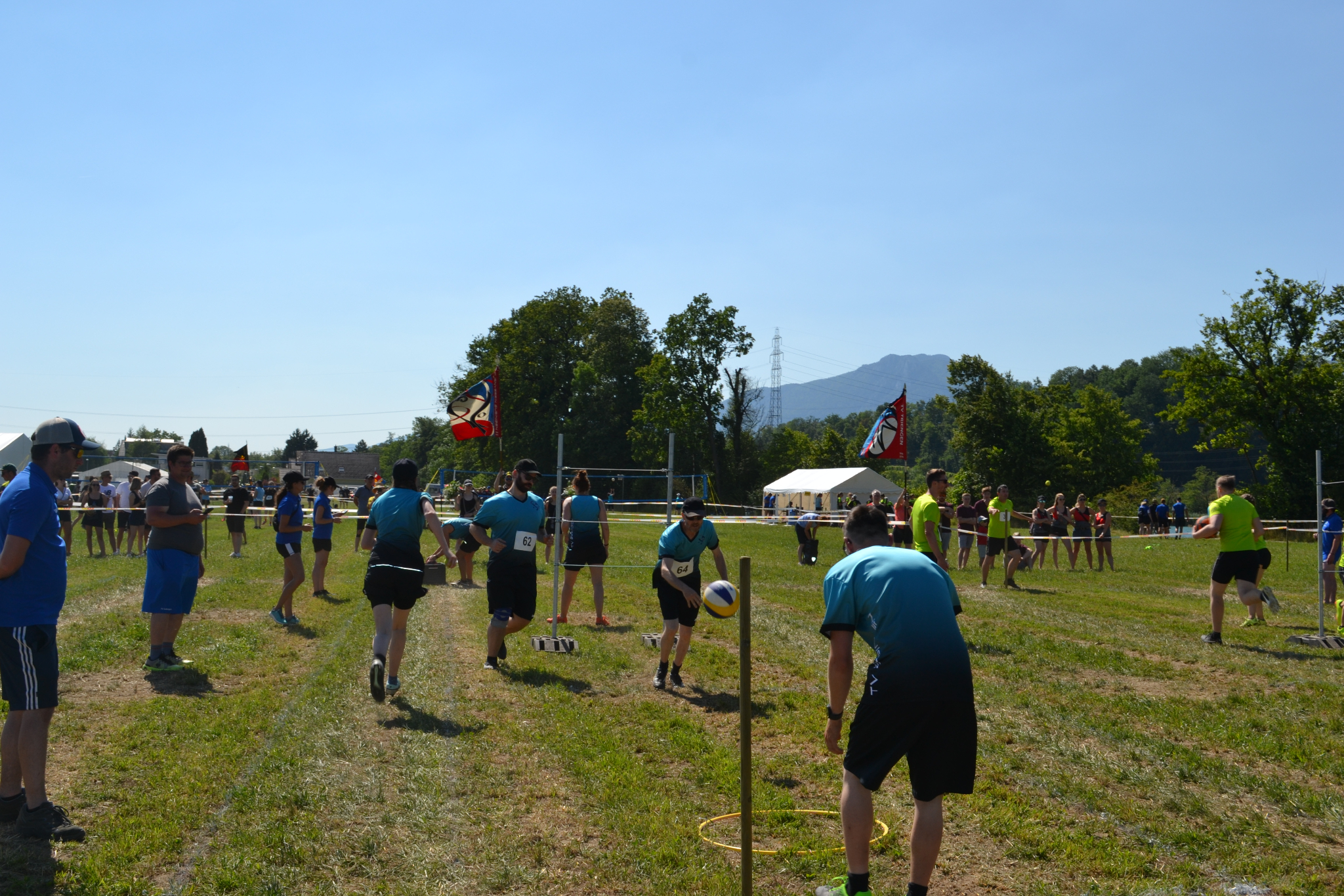 Bild (250)